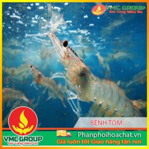 phong-benh-tom-nuoi-cuoi-nam-2014-pphcvm-2