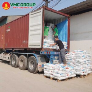 muoi vien an do vmc 1