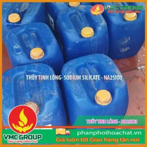 thuy tinh long