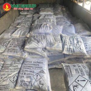 dong sunphat dai loan