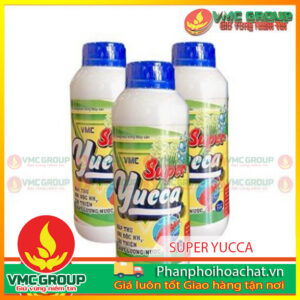 super-yucca-dung-trong-thuy-san-pphcvm