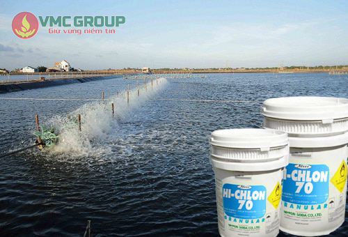 Công dụng của Chlorine Aquafit trong ngành thủy sản