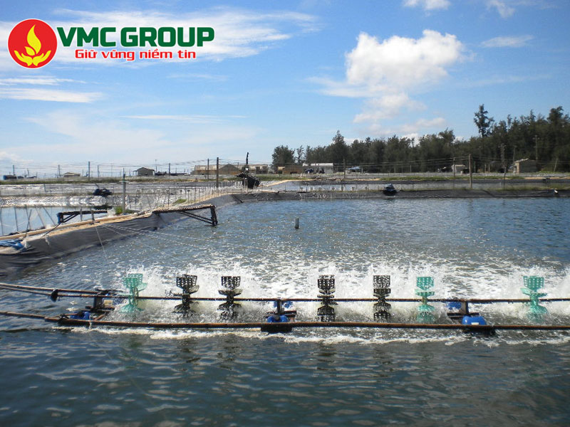 Hướng dẫn sử dụng BKC 80 trong nuôi trồng thủy sản