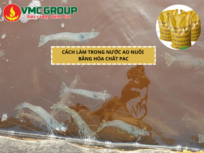 CÁCH XỬ LÝ NƯỚC AO NUÔI BỊ ĐỤC