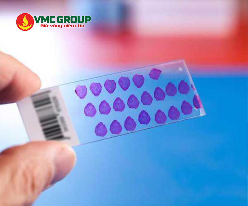 Xylene dùng nhiều trong ngành y tế