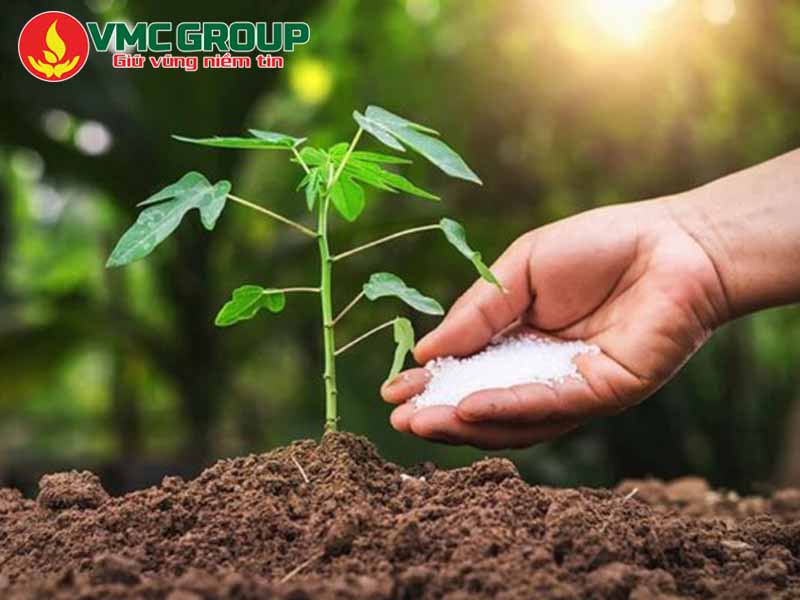 Ứng dụng của đạm SA trong nông nghiệp