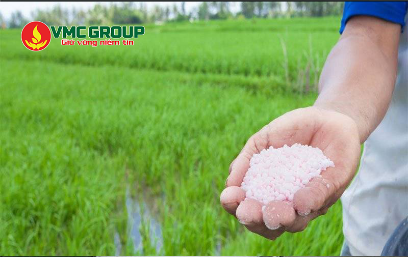 Đạm SA được dùng làm phân bón cho cây trồng