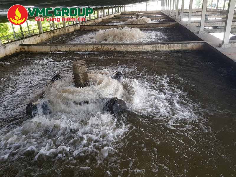 Tác dụng của phèn kép Amoni Nhôm sunfat trong xử lý nước 