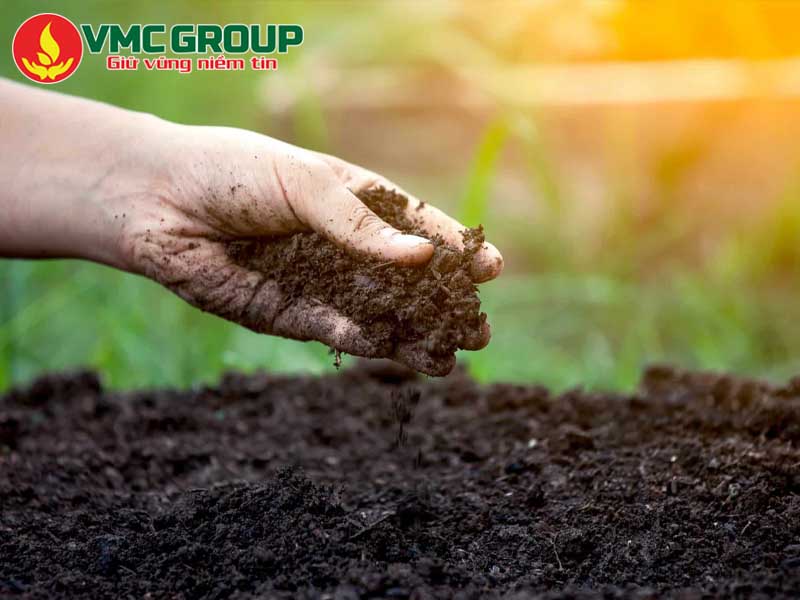 Humate- Acid Humic giúp cải tạo đất