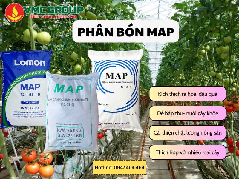 Phân bón MAP trong nông nghiệp