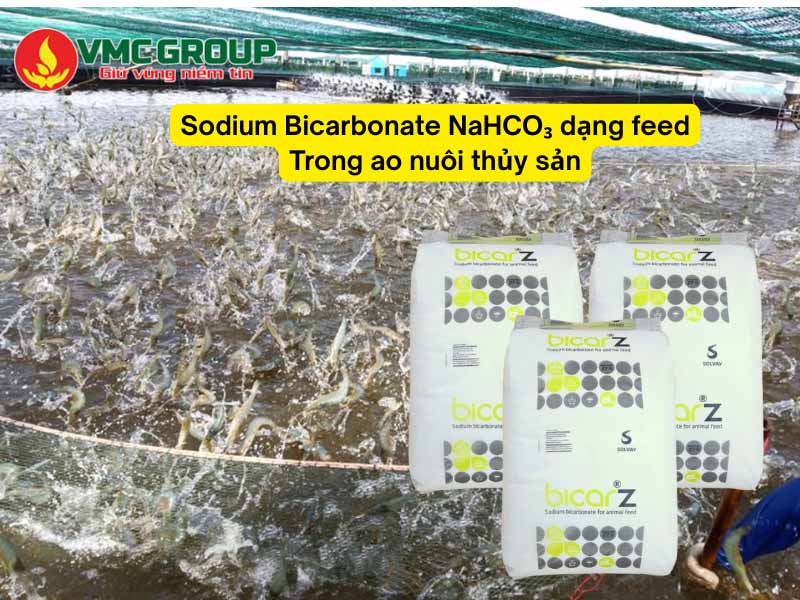 Một số công dụng của Sodium Bicarbonate NaHCO₃ dạng feed