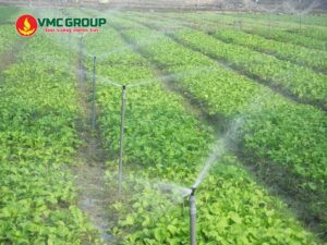 Pha Kali humate với nước để tưới gốc hoặc phun lá