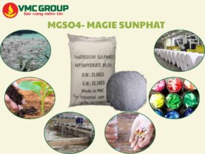 Ứng dụng thực tế của MgSO₄