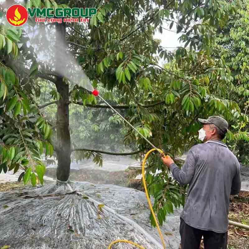 Kẽm Sunphat có ứng dụng trong nông nghiệp để cung cấp kẽm cho cây trồng