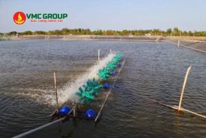 Sodium Thiosulfate được dùng trong xử lý nước ao nuôi thủy sản